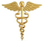 Nursing logo